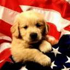 tro mignon