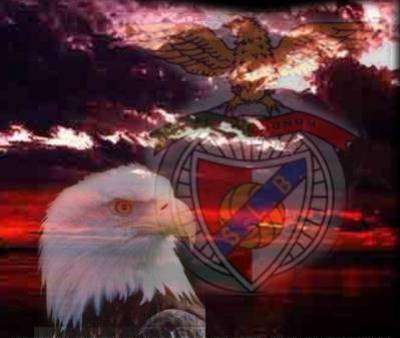 benfica c les meilleur !!!!!!!!