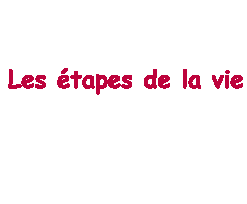 les étapes de la vie !!!